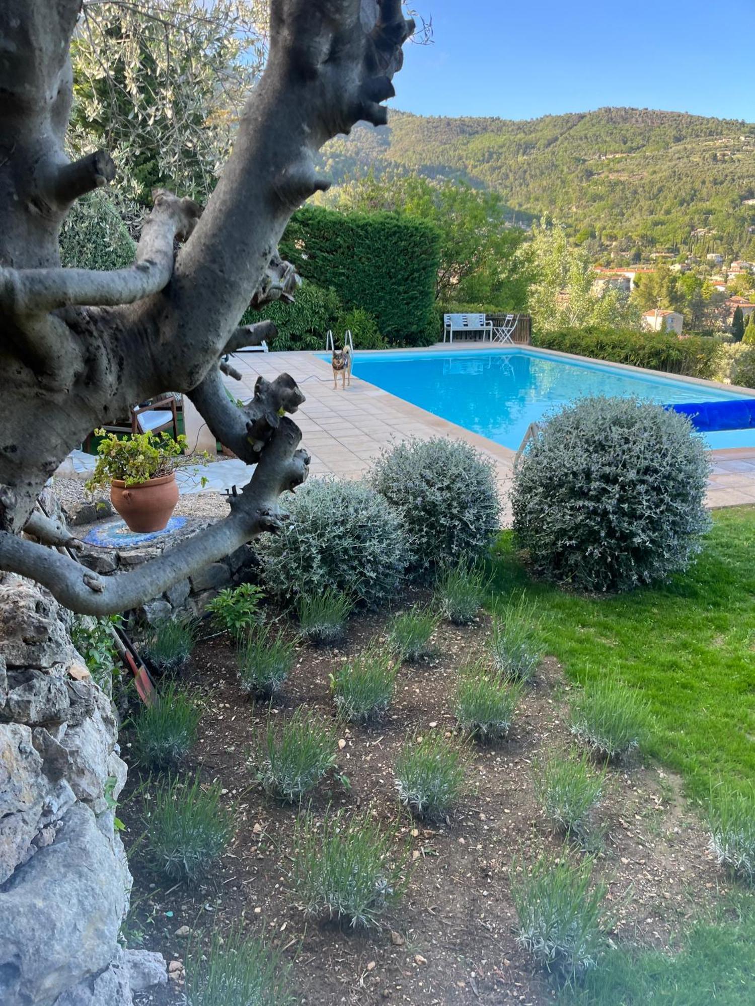 Villa Magnolia Seillans Exterior foto